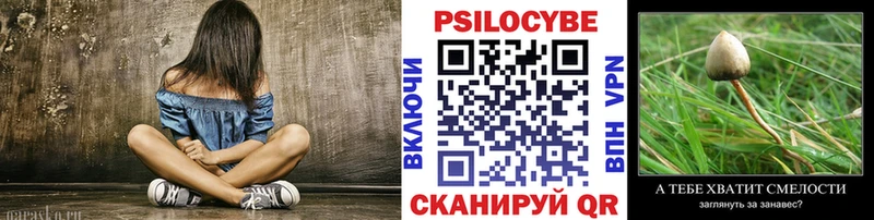 Псилоцибиновые грибы Psilocybe  Маркс 